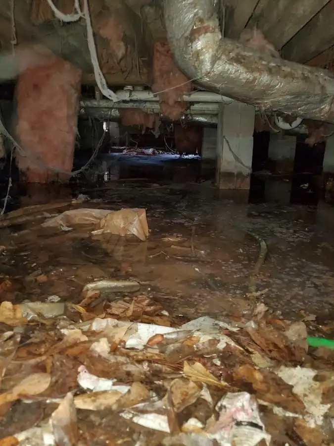 Crawl space flood assessment for Leak Detection & Repair in Brigham City